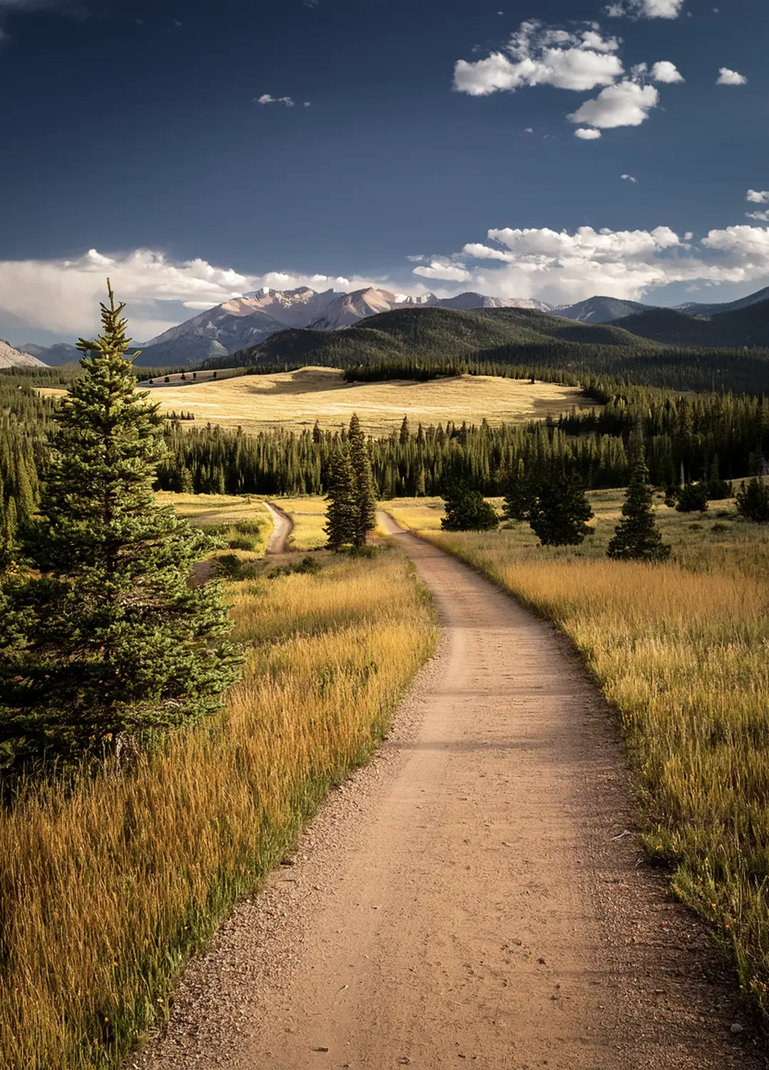 Photo of trails in Elizabeth, Colorado.
