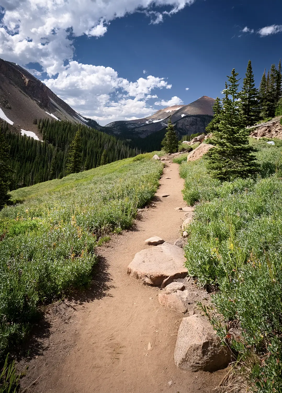 An image of a trail near Lone Tree, Colorado.